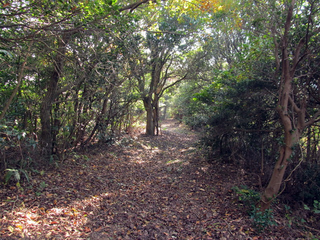 t01_265.jpg