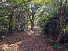 t01_265_thumb.jpg