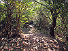 t01_266_thumb.jpg