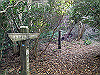 t01_267_thumb.jpg