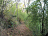 t01_268_thumb.jpg