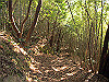 t01_269_thumb.jpg