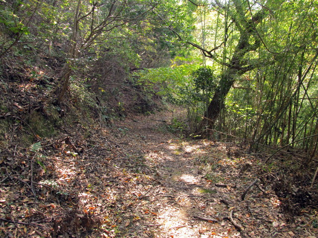 t01_271.jpg