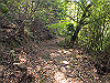 t01_271_thumb.jpg