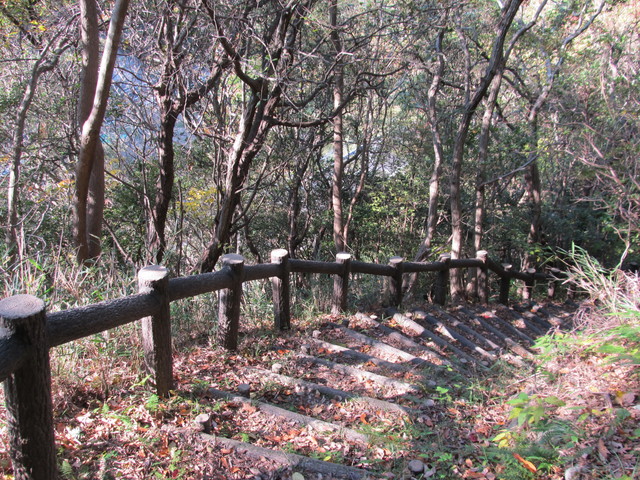 t01_272.jpg