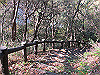 t01_272_thumb.jpg