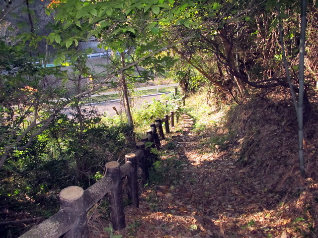t01_273.jpg