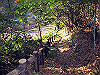 t01_273_thumb.jpg