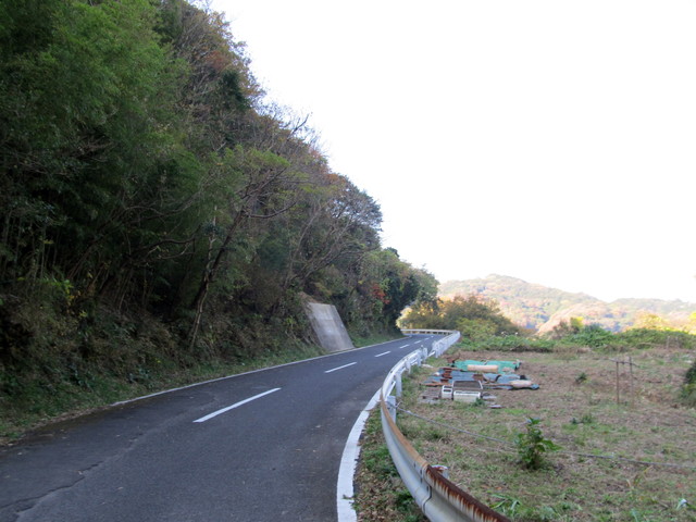 t01_276.jpg