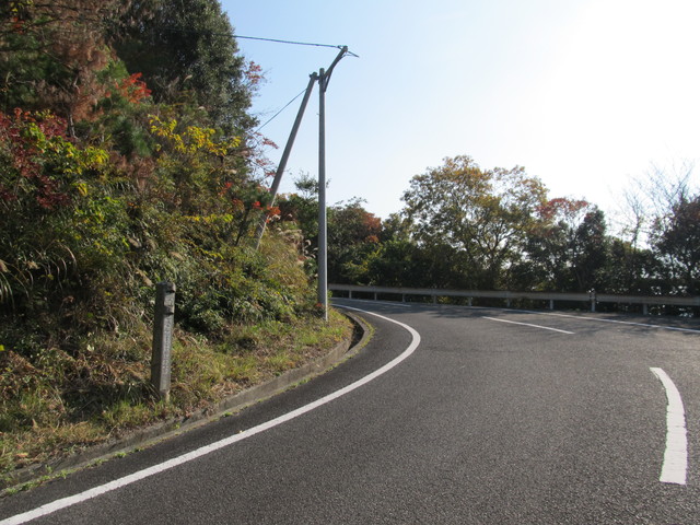 t01_278.jpg