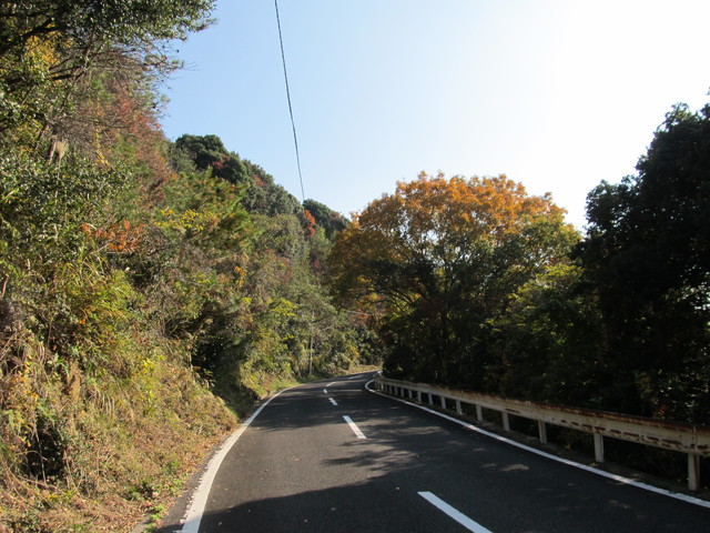 t01_279.jpg