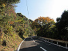 t01_279_thumb.jpg