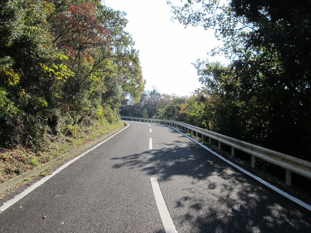 t01_280.jpg