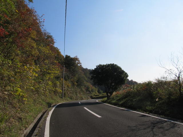 t01_281.jpg