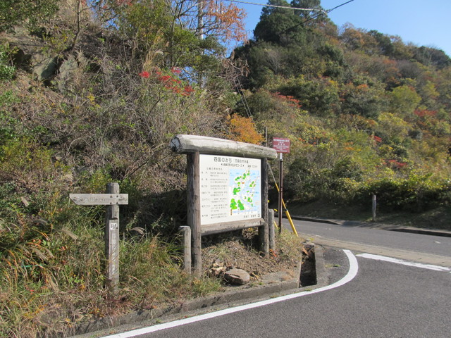 t01_282.jpg