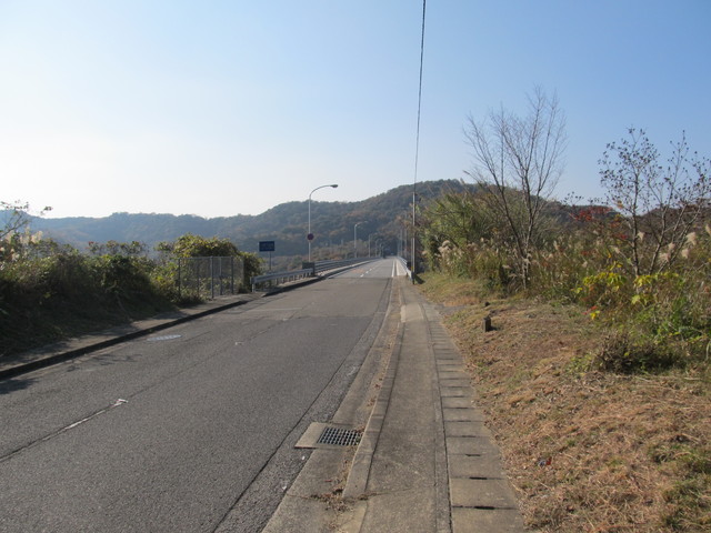 t01_284.jpg