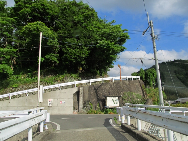 t10_001.jpg