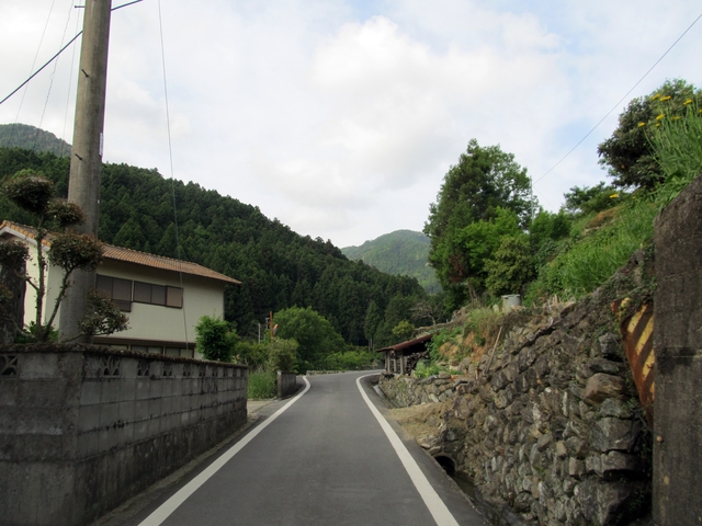 t10_004.jpg