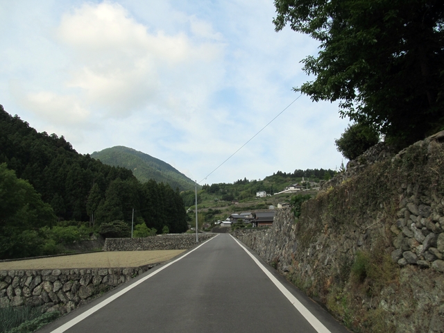 t10_005.jpg