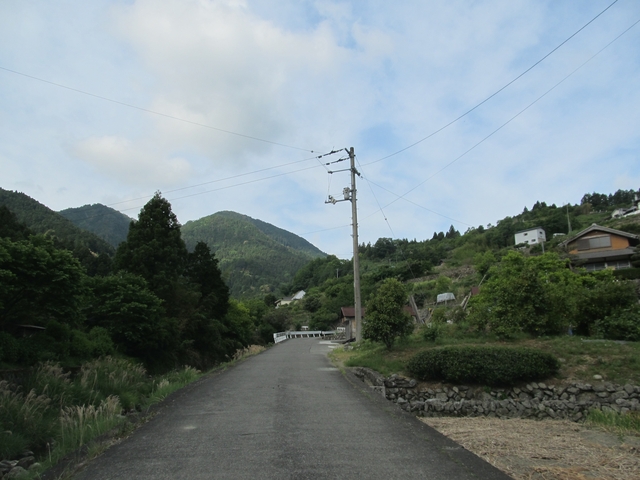 t10_007.jpg