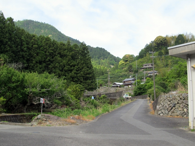 t10_010.jpg