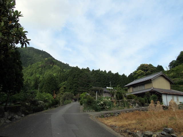 t10_011.jpg
