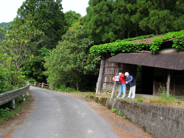 t10_012.jpg