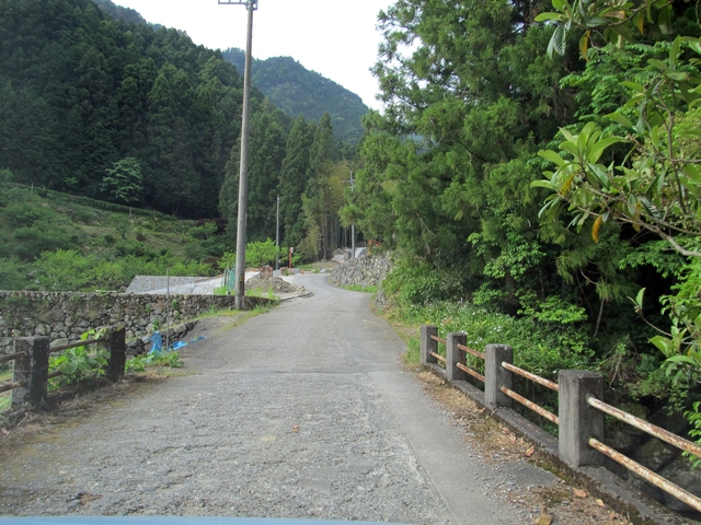 t10_013.jpg