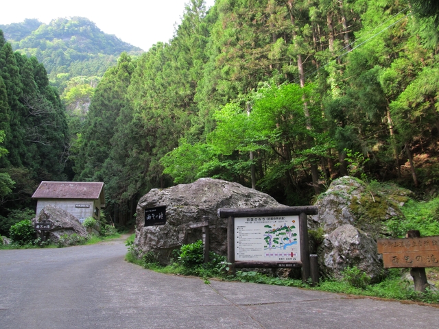 t10_018.jpg