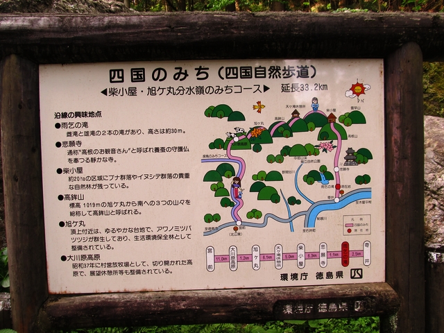 t10_019.jpg
