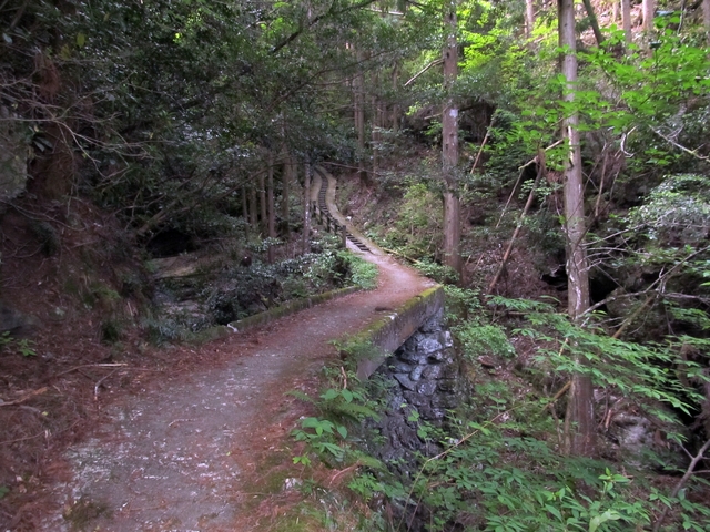 t10_032.jpg