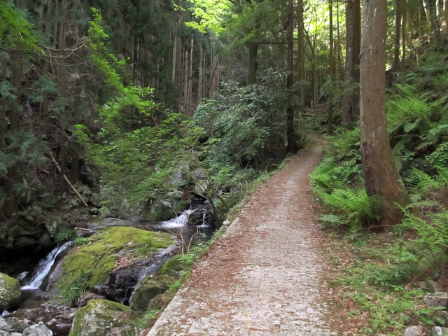 t10_035.jpg