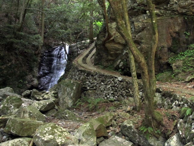 t10_037.jpg