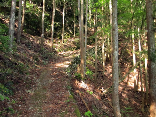 t10_042.jpg