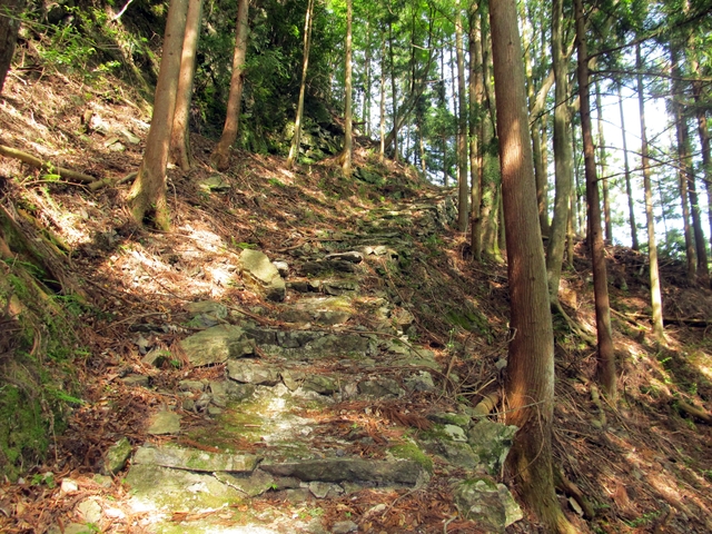 t10_043.jpg