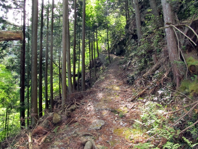 t10_044.jpg