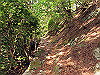 t10_047_thumb.jpg
