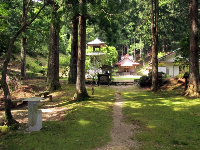 t10_063.jpg