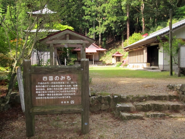 t10_064.jpg