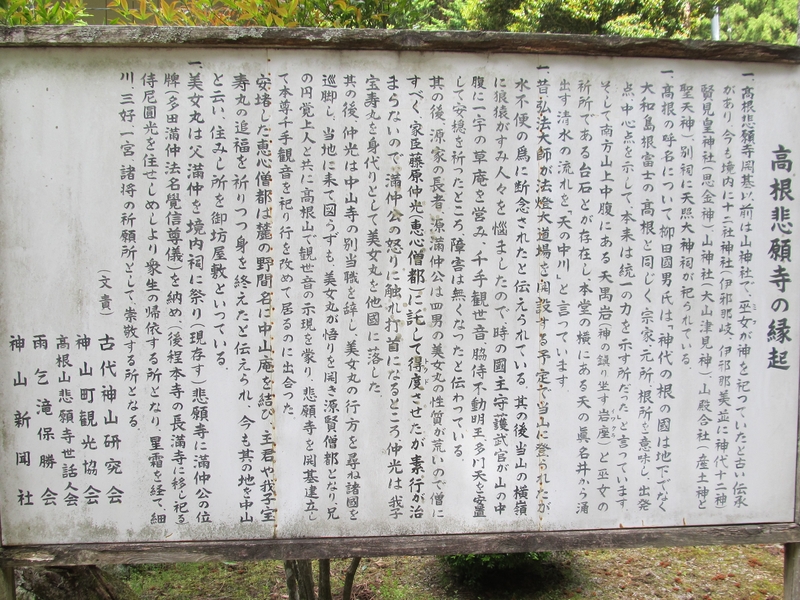 t10_066.jpg