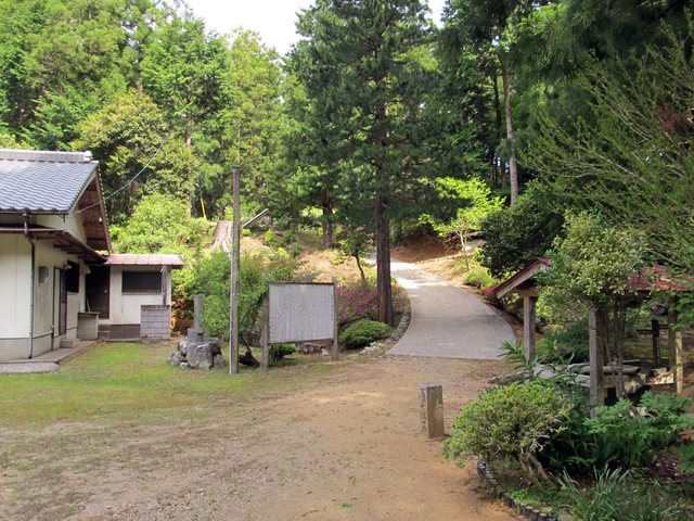 t10_068.jpg