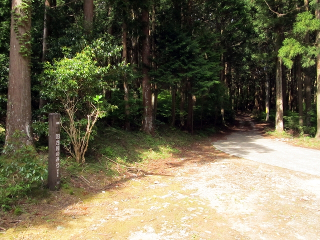t10_070.jpg