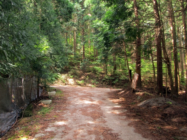 t10_072.jpg