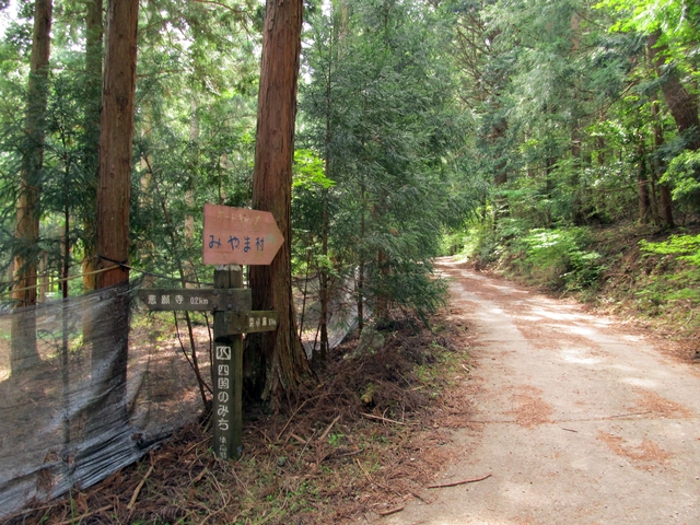 t10_074.jpg