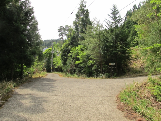 t10_077.jpg