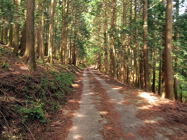 t10_079.jpg