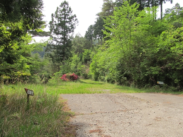 t10_082.jpg