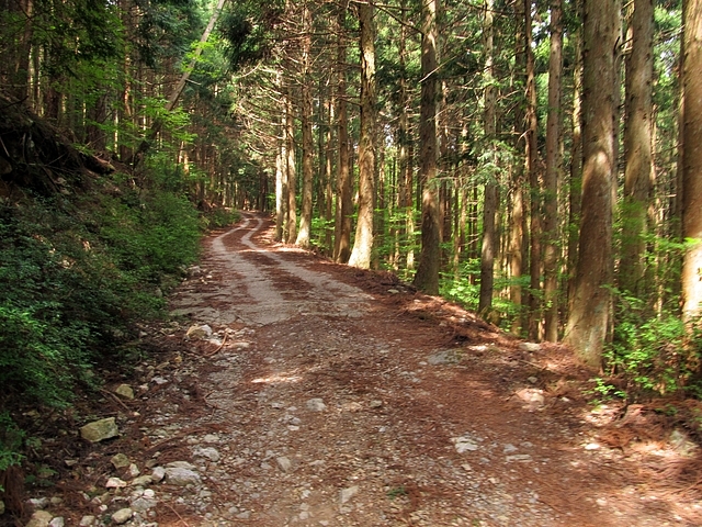 t10_083.jpg