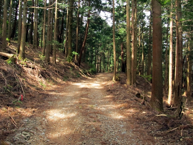 t10_084.jpg