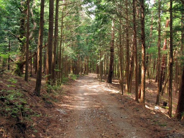 t10_085.jpg